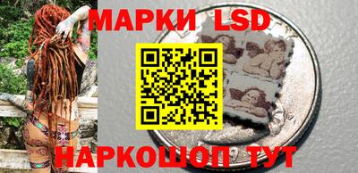 прущие грибы Изобильный
