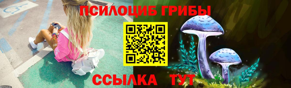 Галлюциногенные грибы мицелий  Вход с VPN  Янаул  Псилоцибиновые грибы Psilocybe 